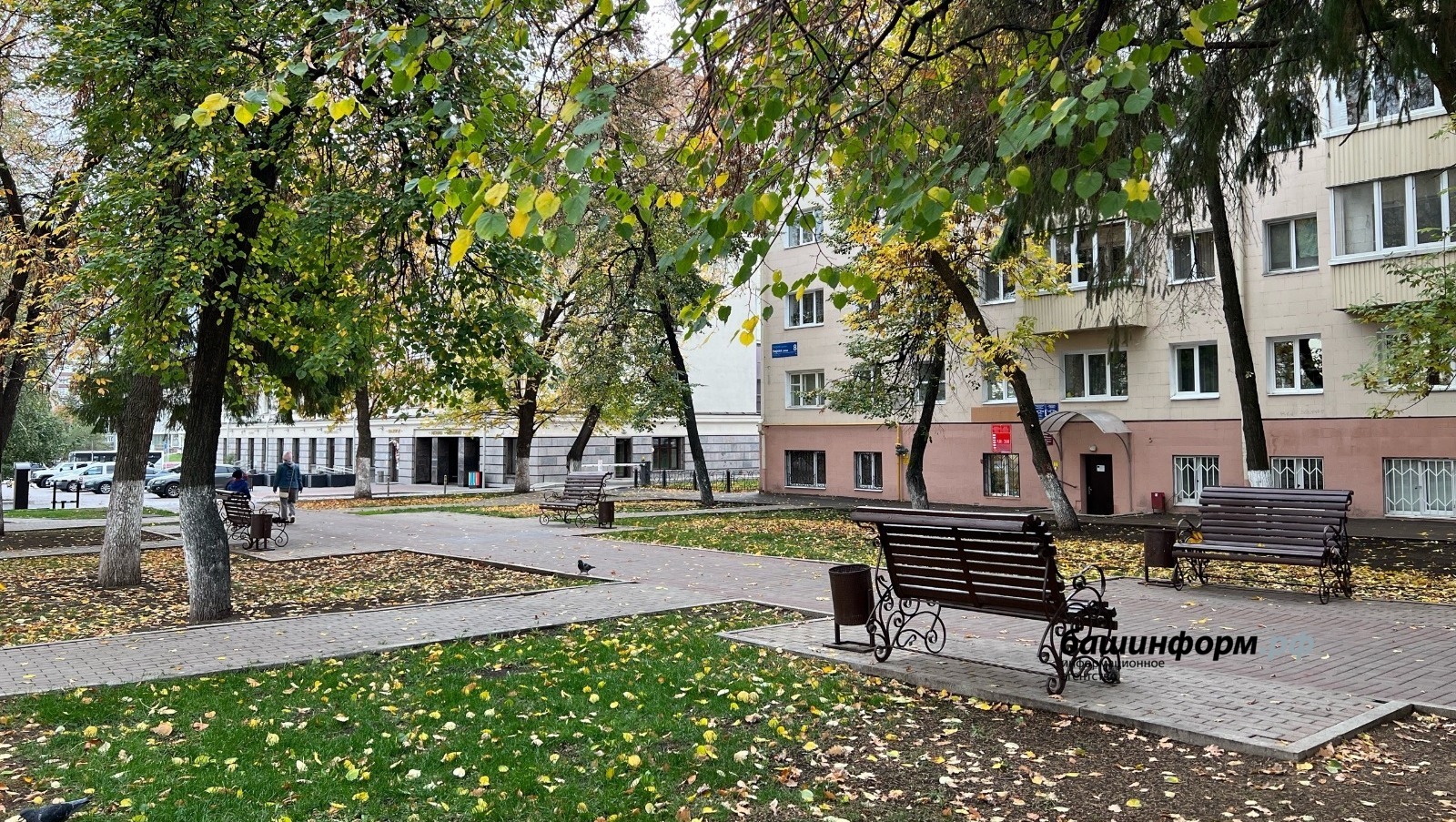 Ксения Калинина