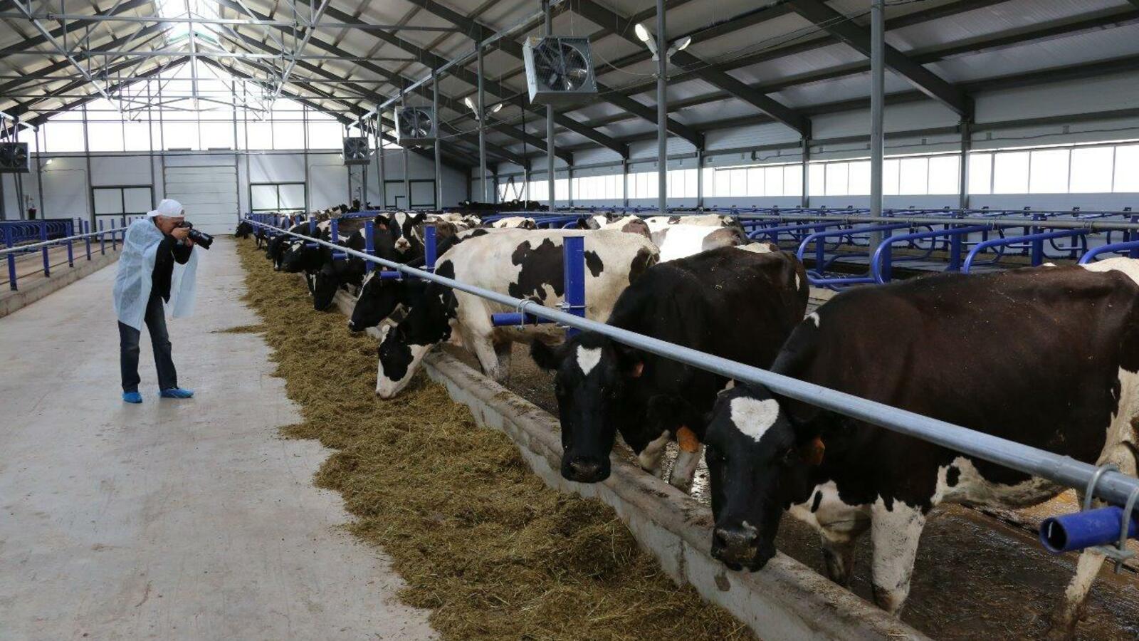 ИА «Башинформ»