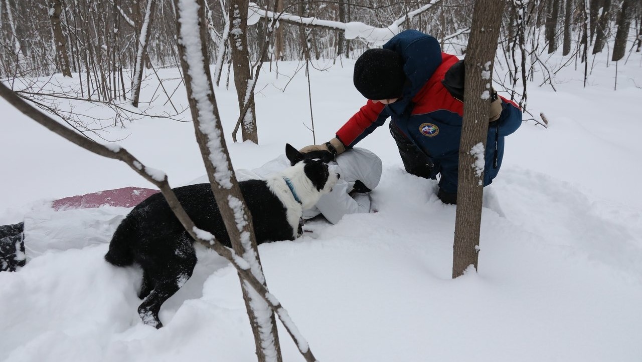 Валерий Шахов