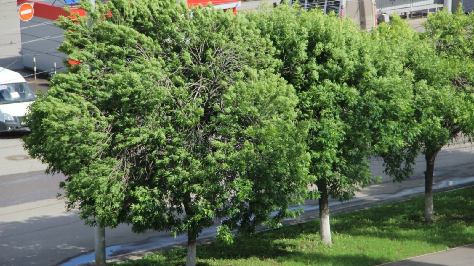 Ксения Калинина