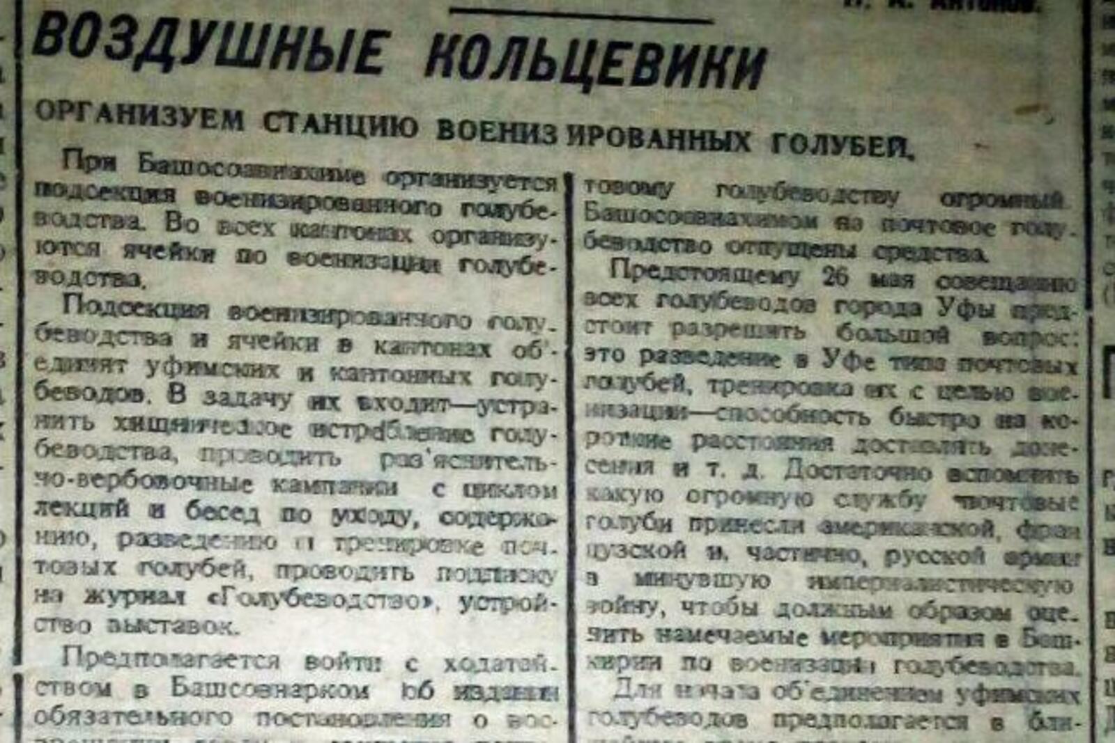 Книжная палата РБ