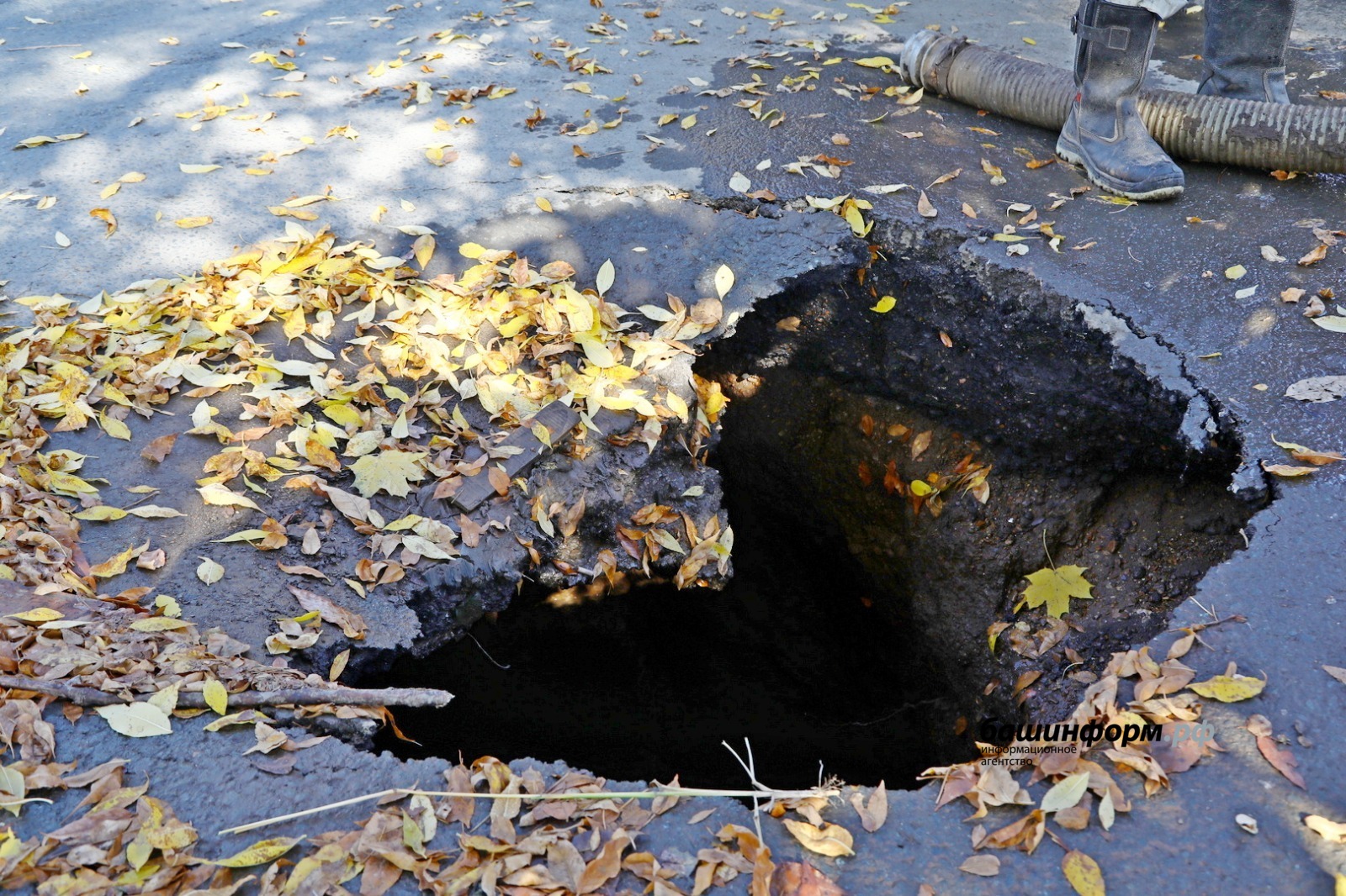 Валерий Шахов