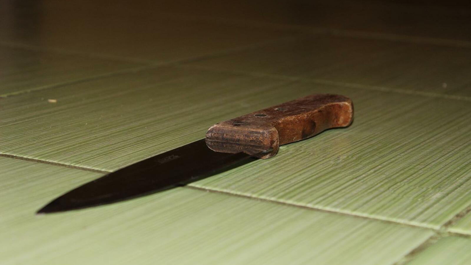 Карина Камаева