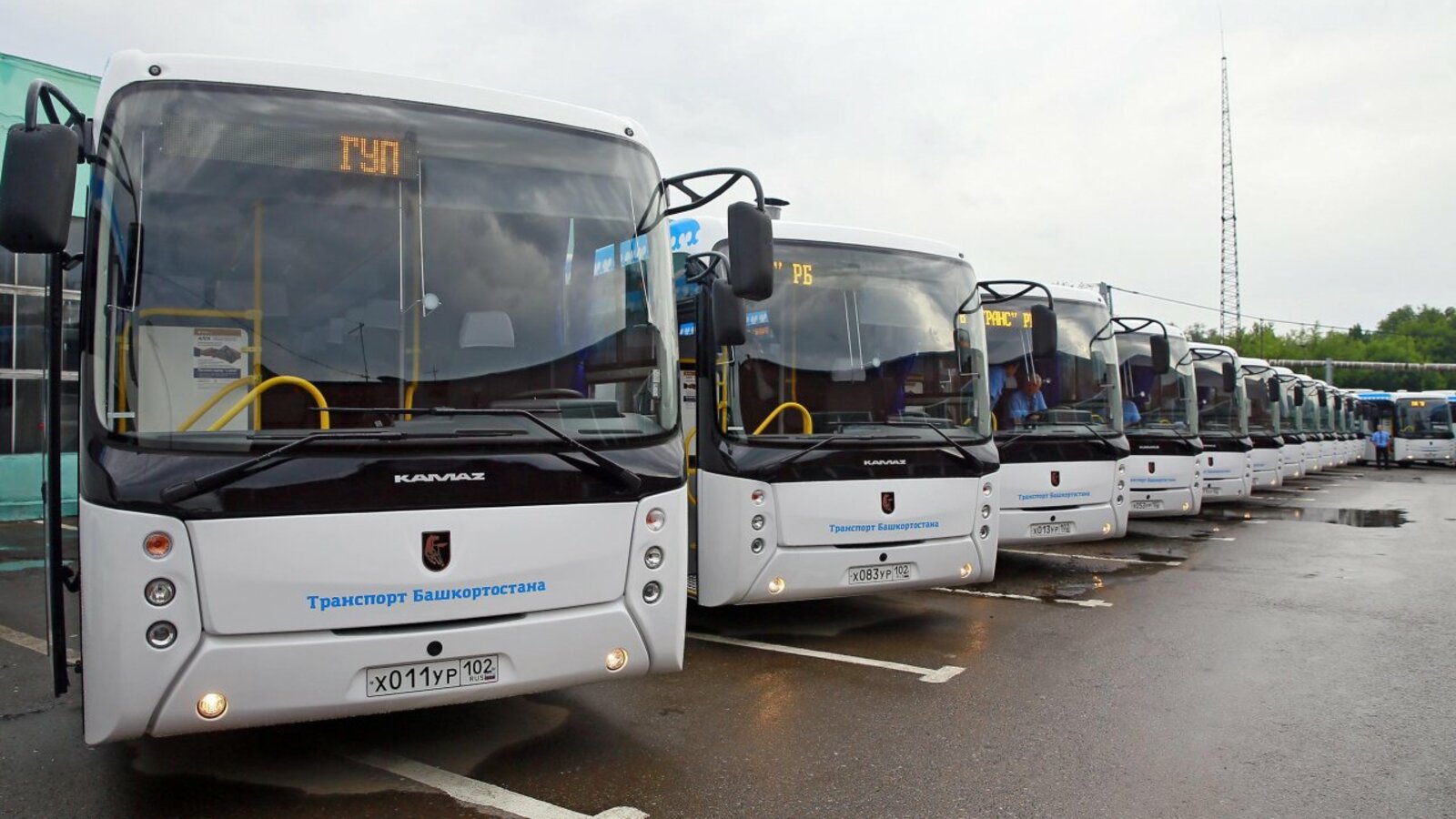 Дмитрий Мухаметкулов