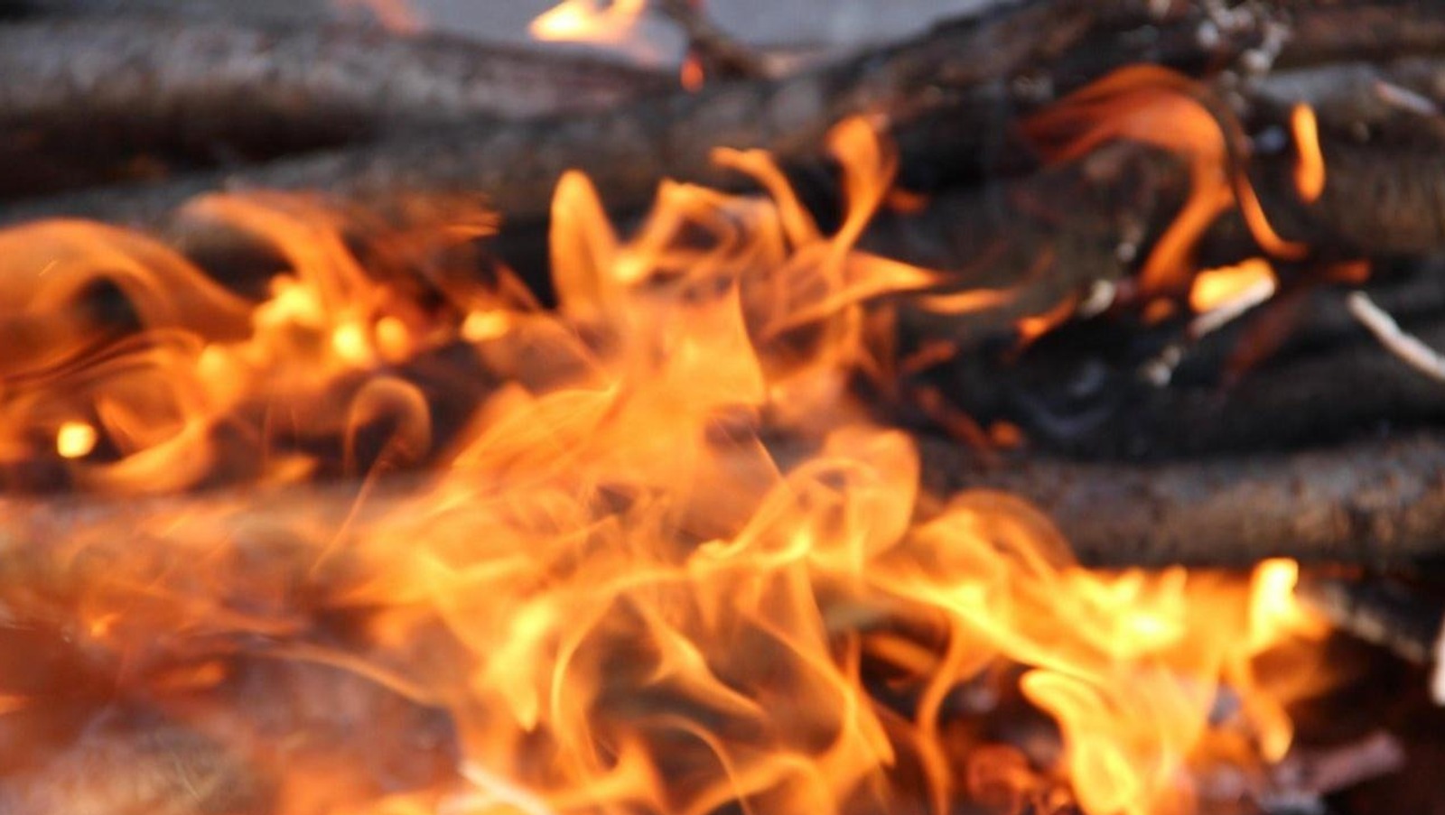 архив «Башинформа»