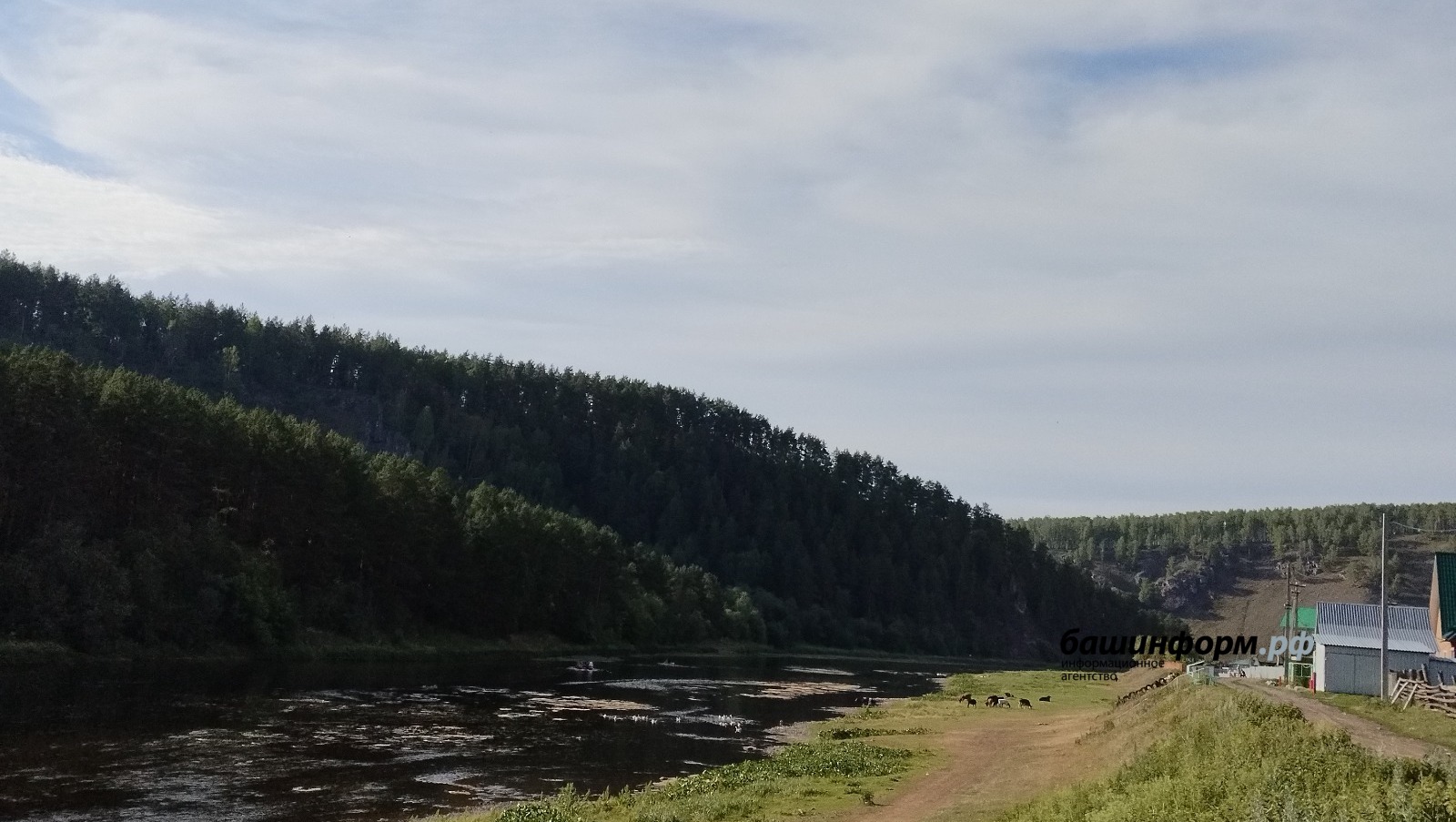 автор