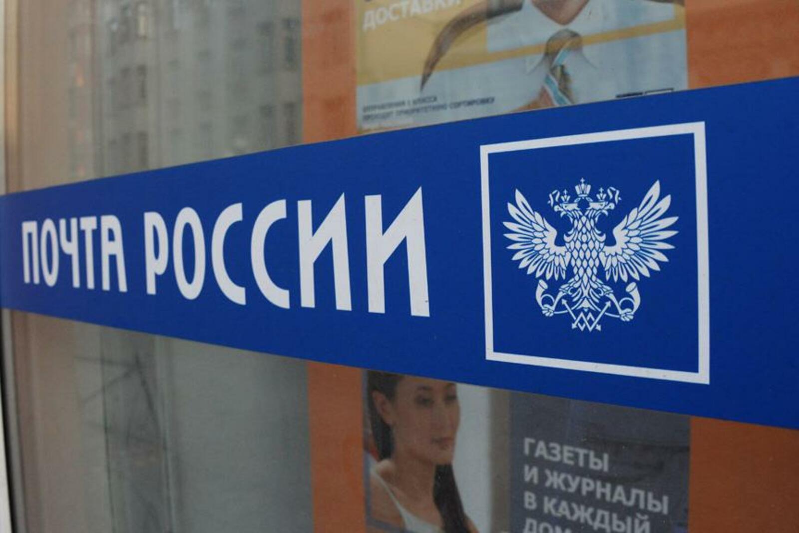 ntv.ru