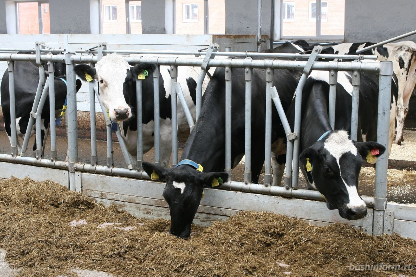 Олег Яровиков