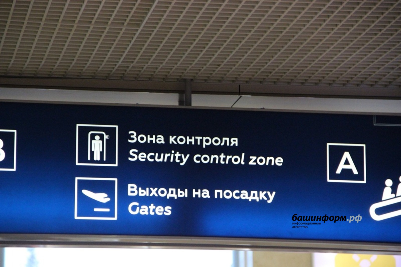 Ксения Калинина
