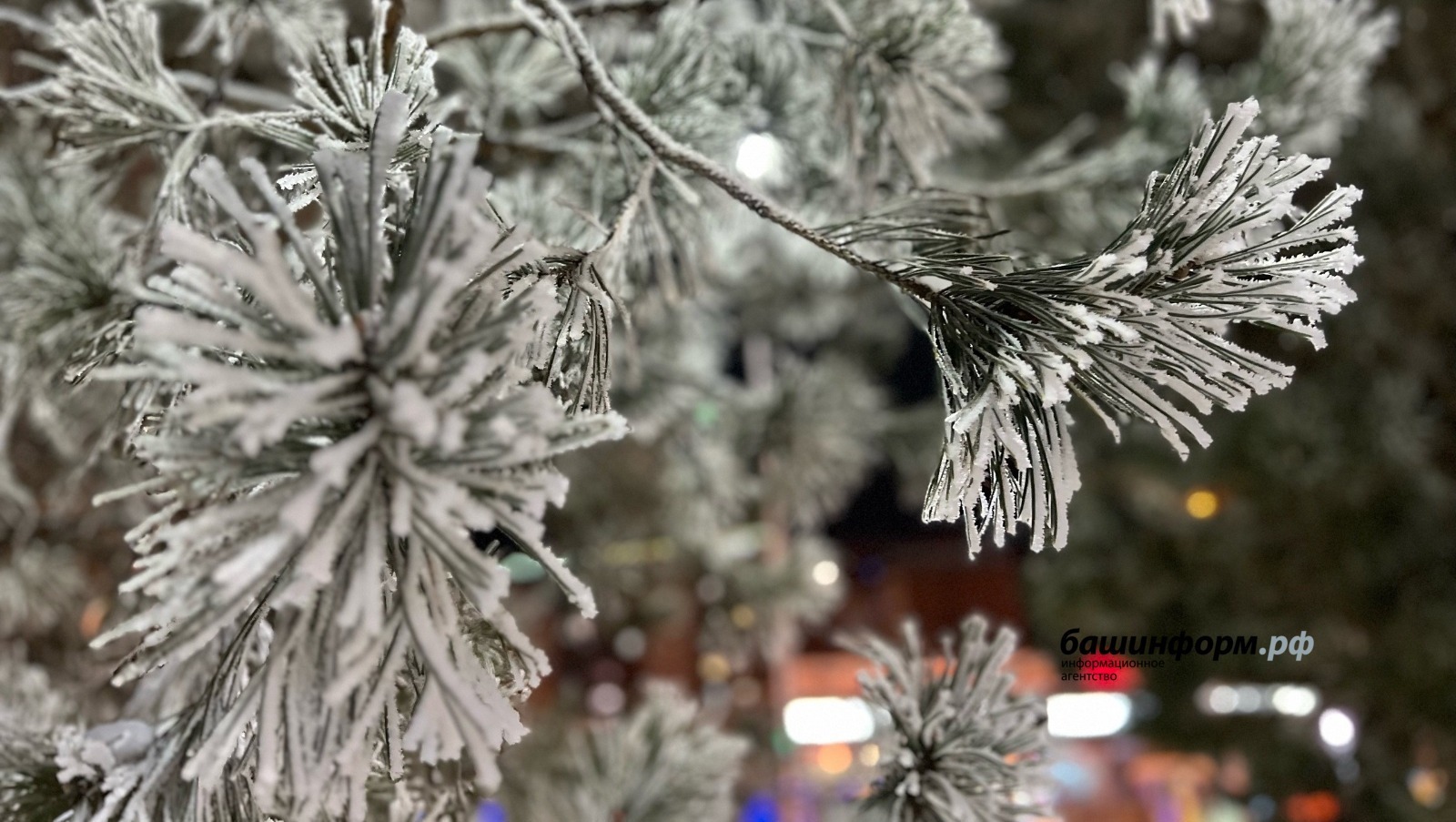 Ксения Калинина / «Башинформ» мәғлүмәт агентлығы