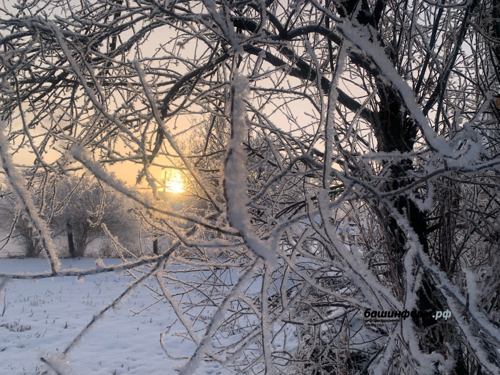 ИА «Башинформ»  Архив