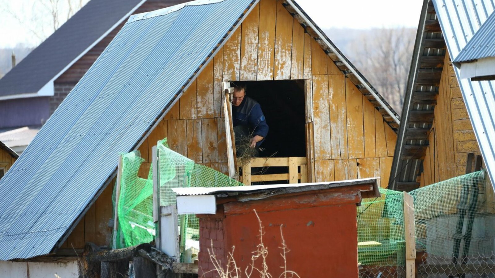 Валерий Шахов