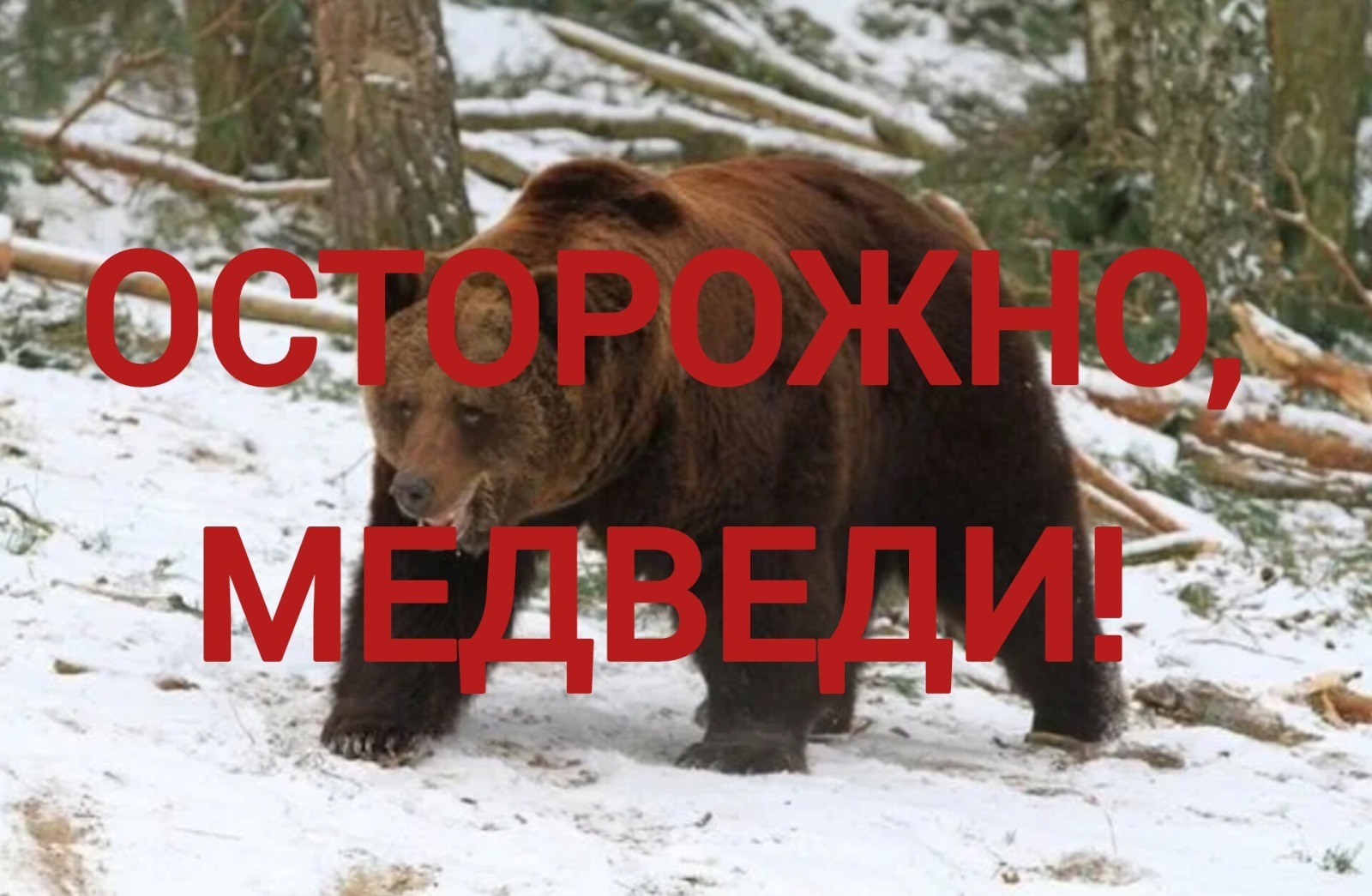 администрация Бурзянского района РБ
