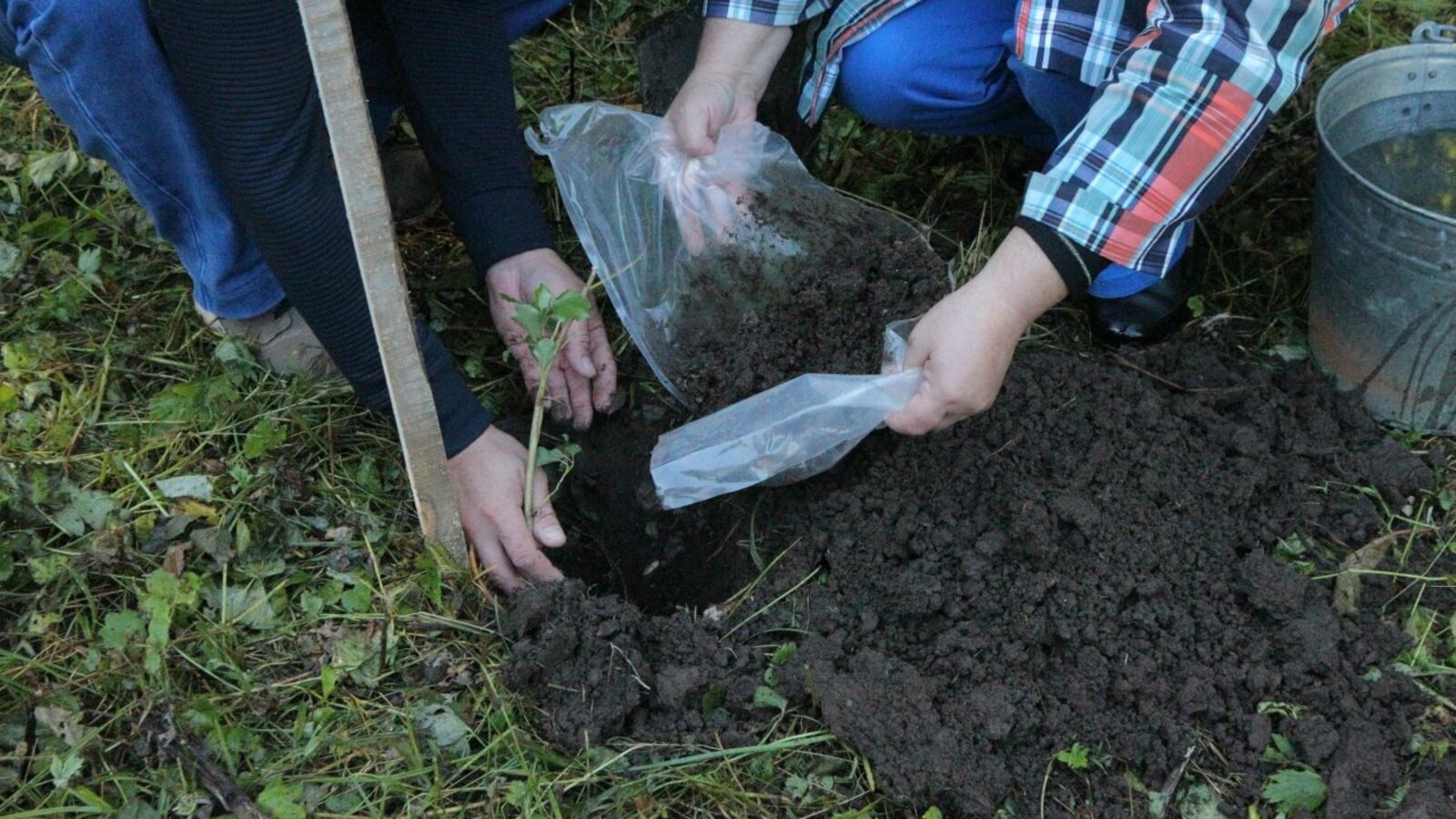 Олег Яровиков