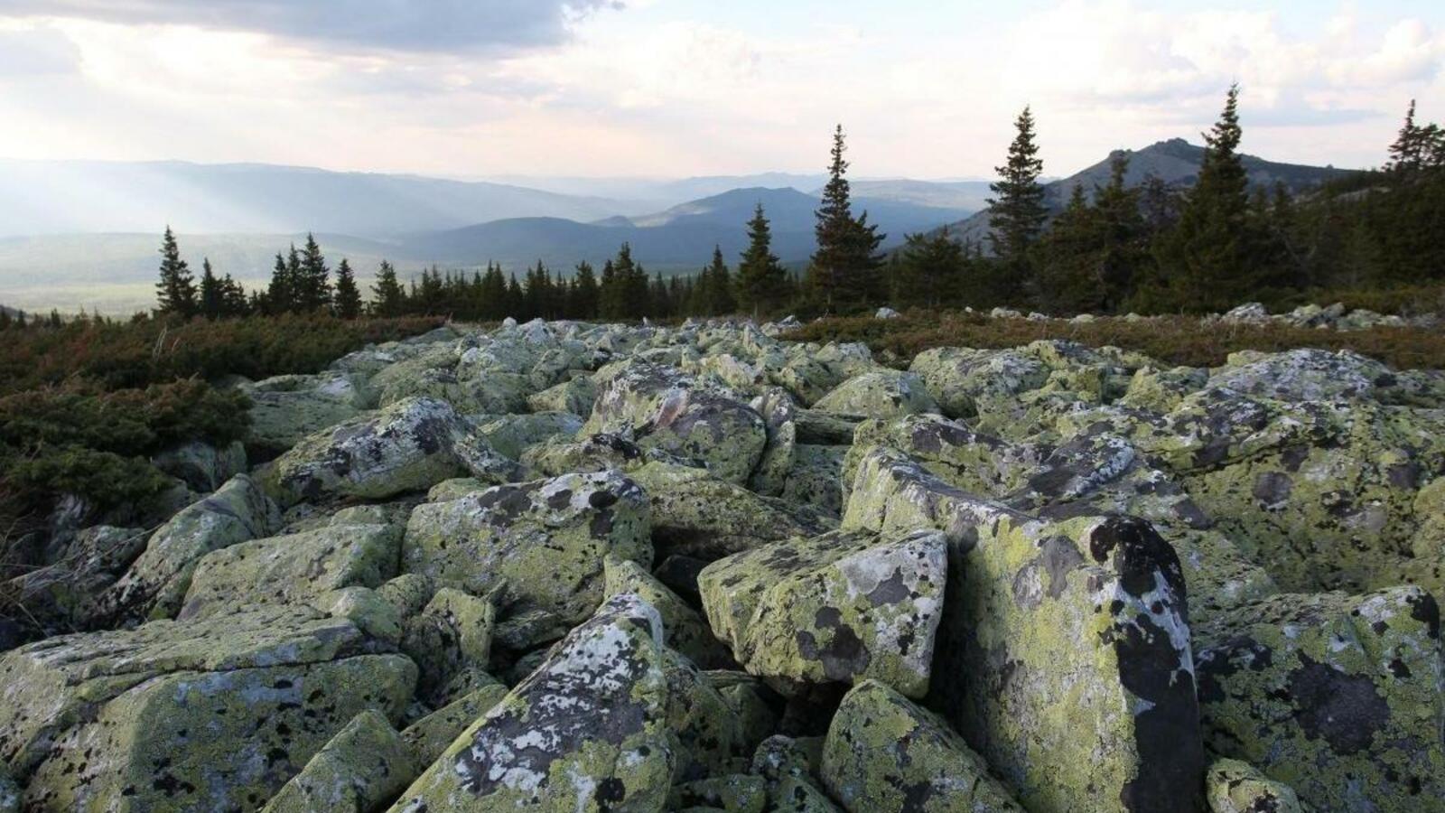 ИА «Башинформ»