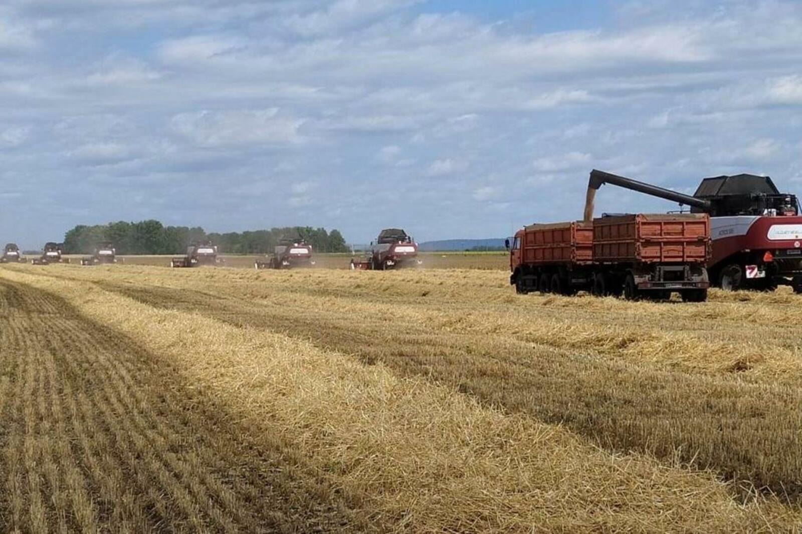 минсельхоз РБ