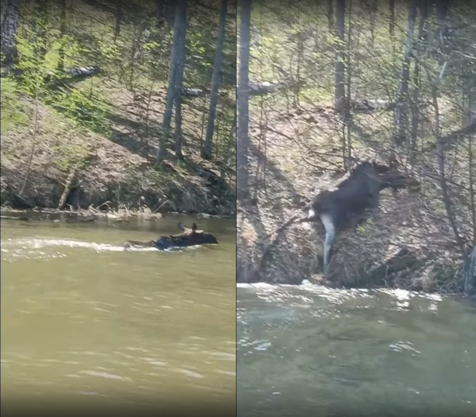 скриншот видео