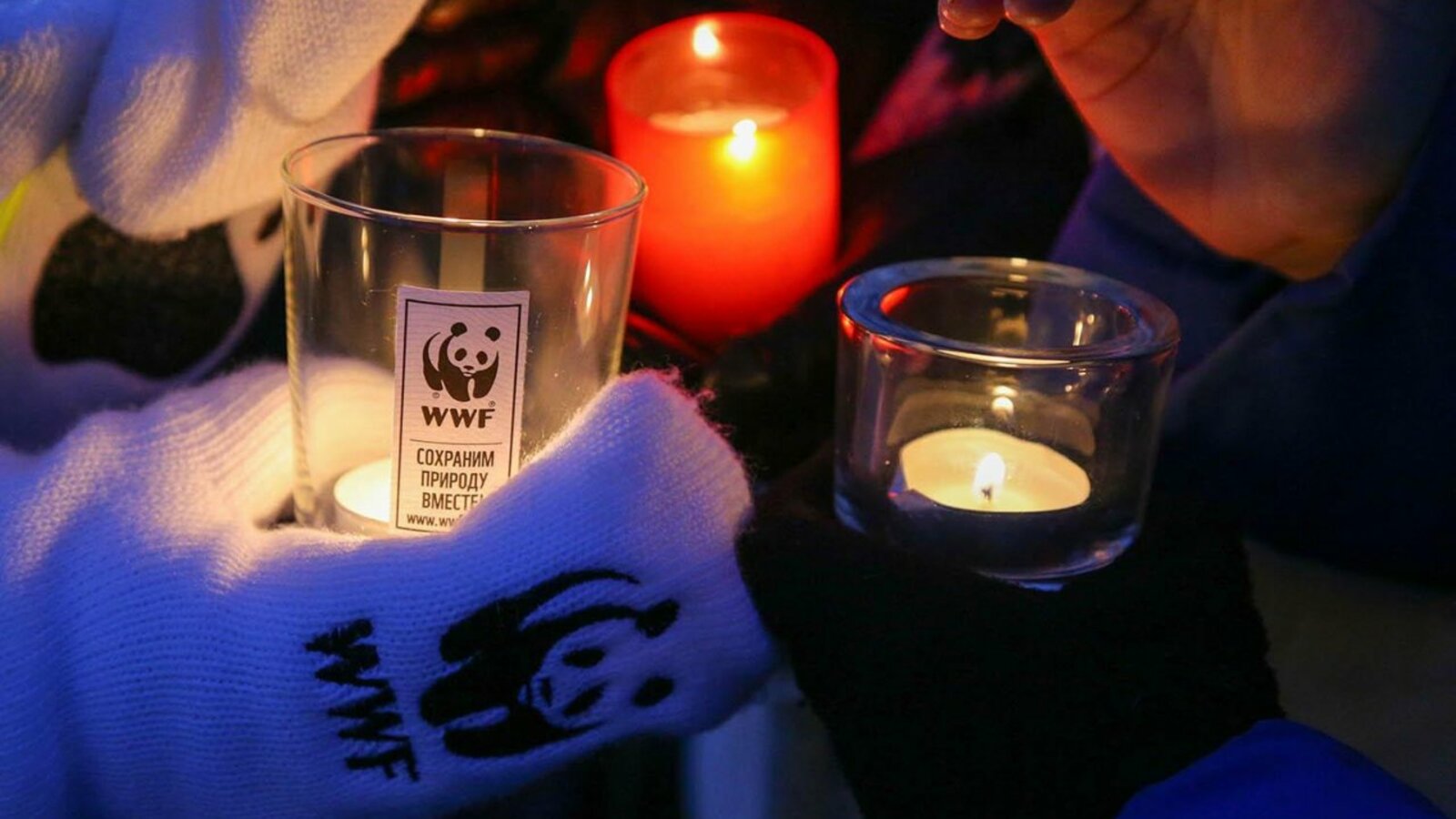 Сайт акции Час Земли