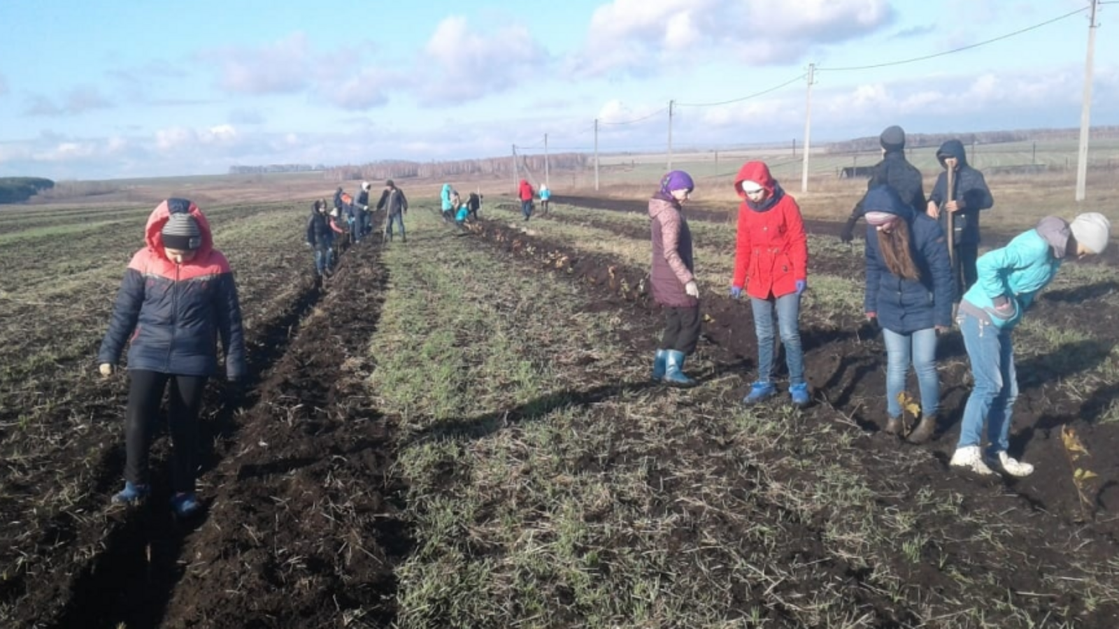 Минэкологии РБ