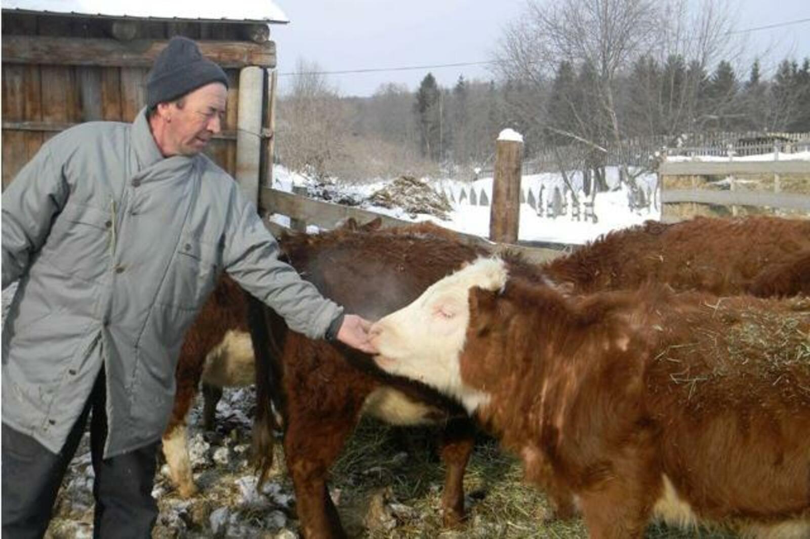 iskra-kungur.ru