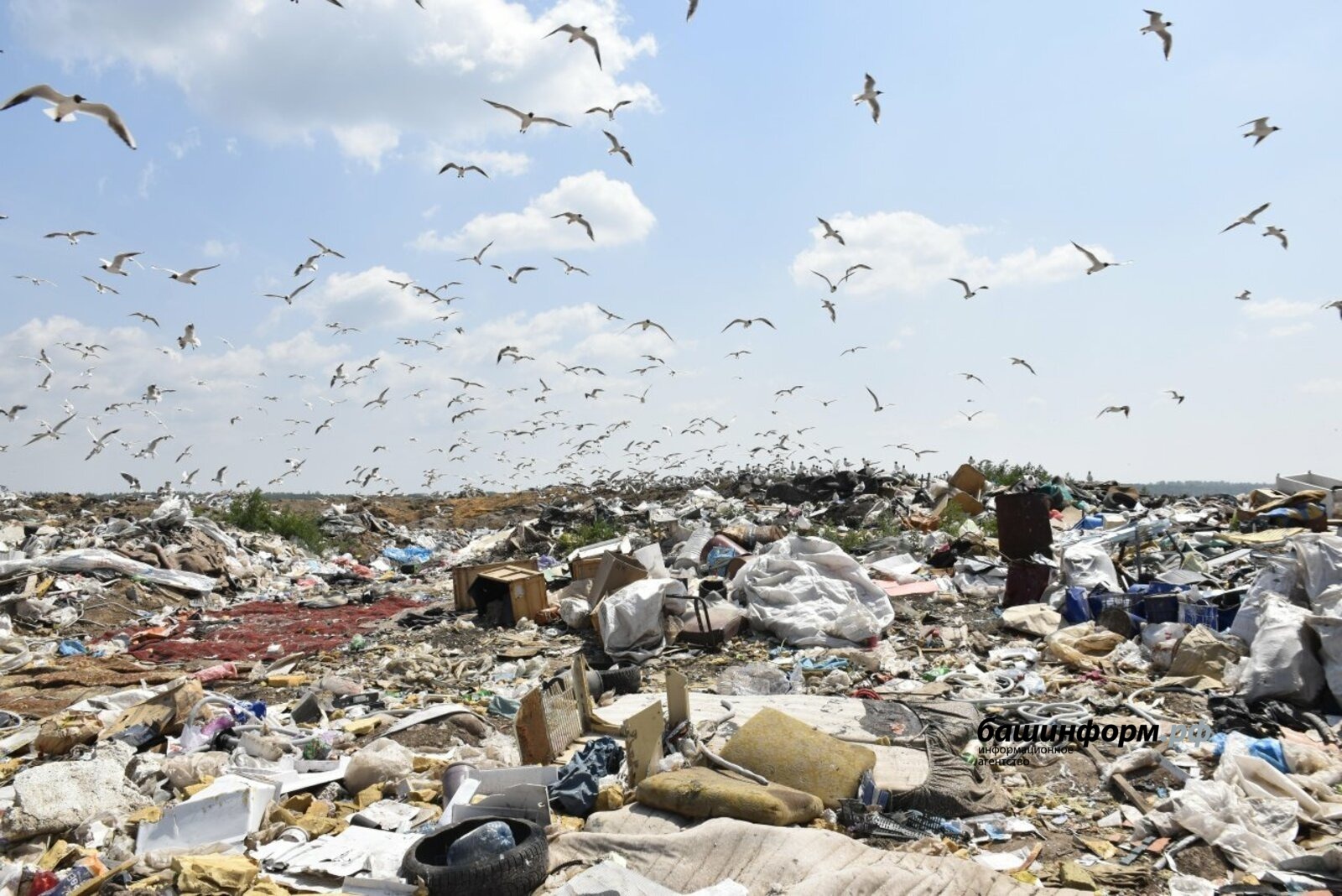 В шаге от закрытия: Росприроднадзор заподозрил мусорный полигон в Уфе в исчерпании ресурса