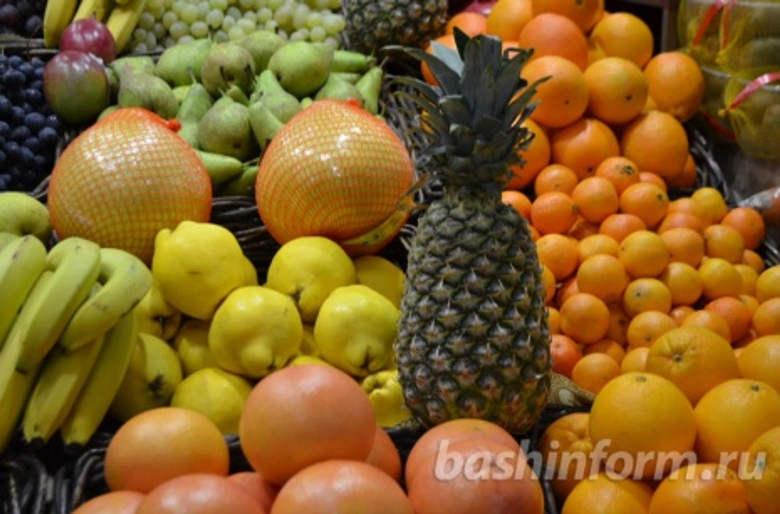 автор фотоһы