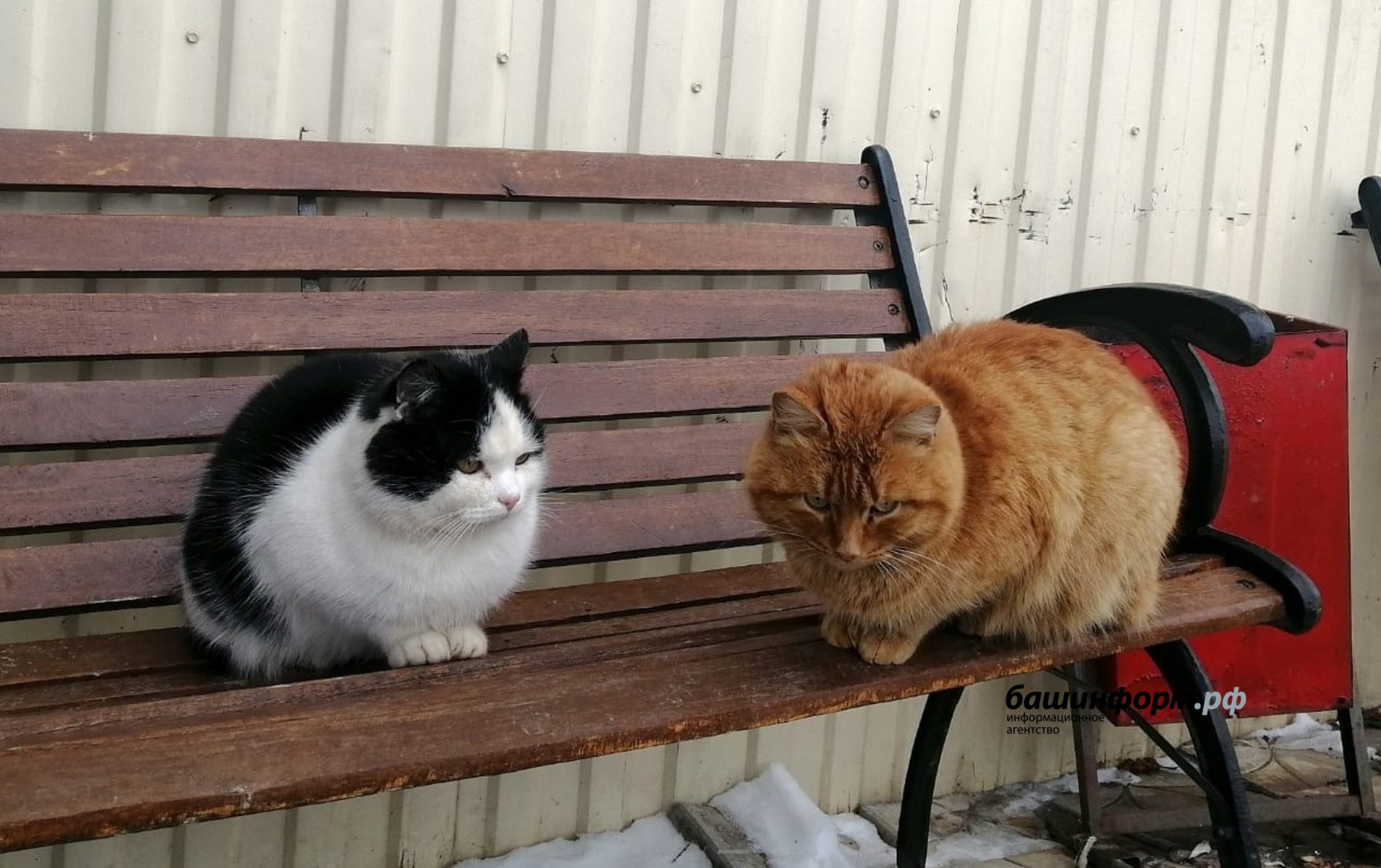 Елена Лобова  ИА «Башинформ», архив