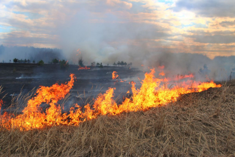 Мелеузовские пожарные предупреждают: весенний пал сухой травы становится стихийным бедствием