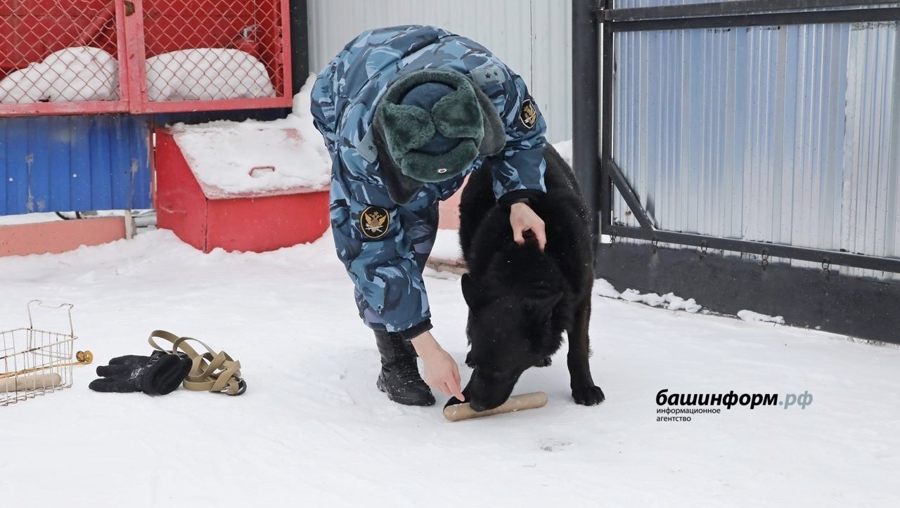 Валерий Шахов