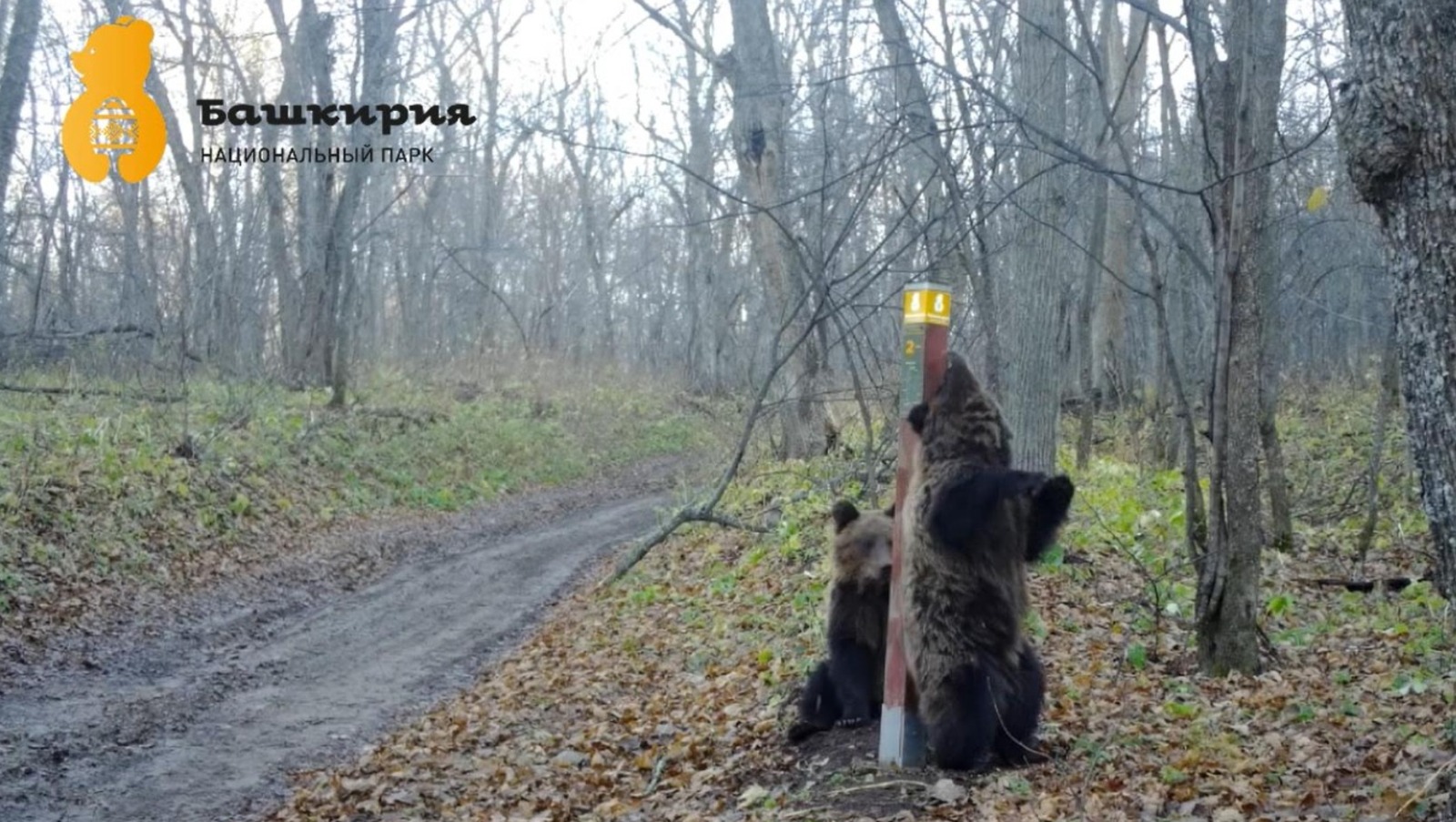 Национальный парк «Башкирия» телеграм