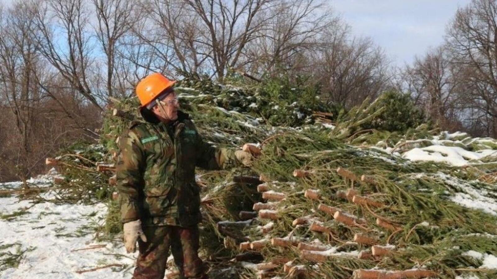 администрация г.Уфа