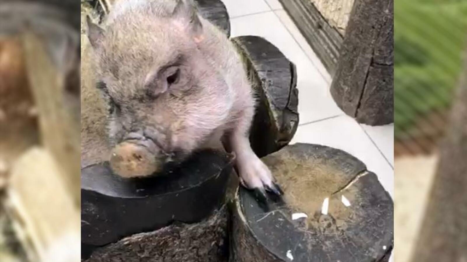 Ксения Калинина