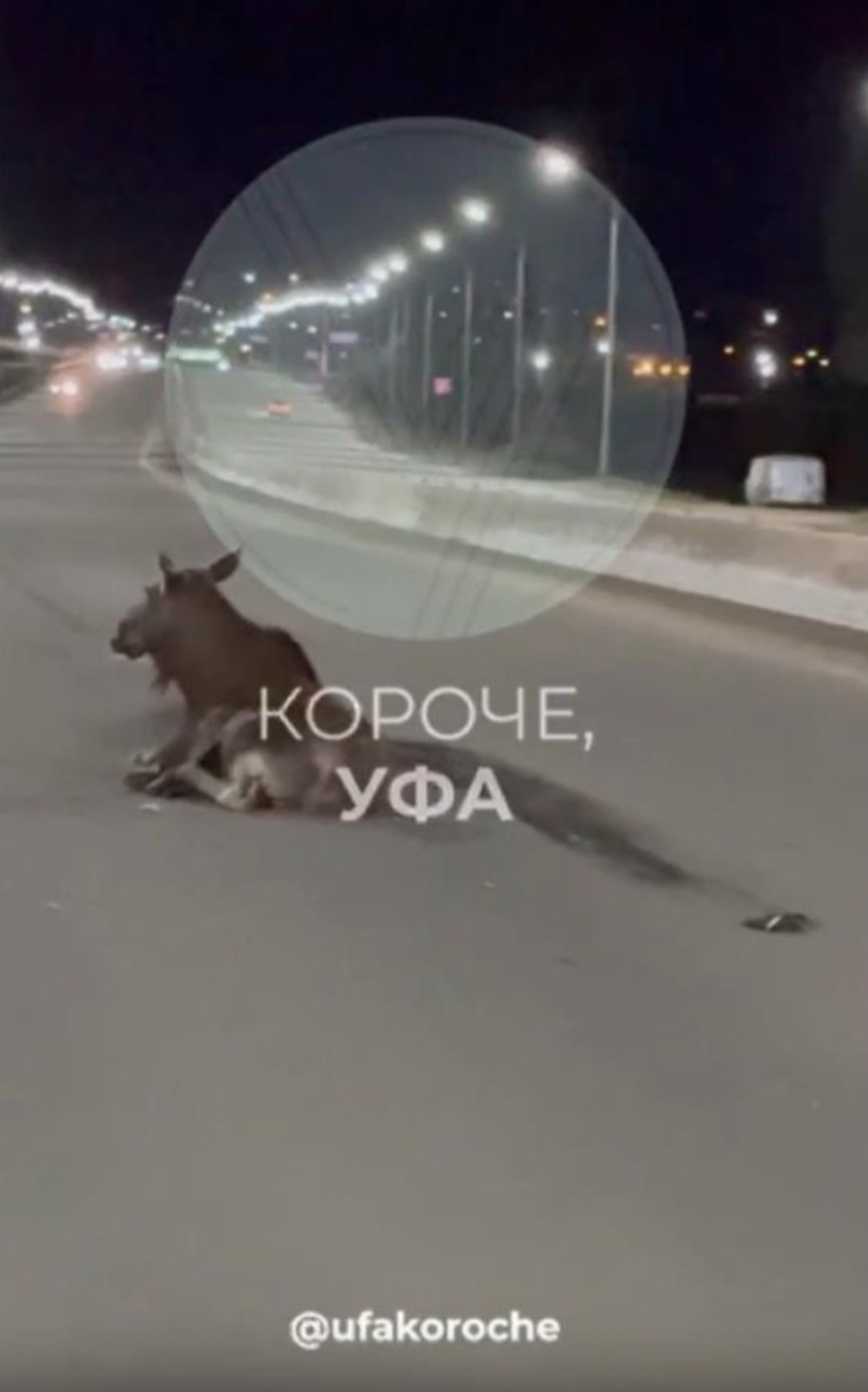 телеграм-канал «Короче, Уфа»