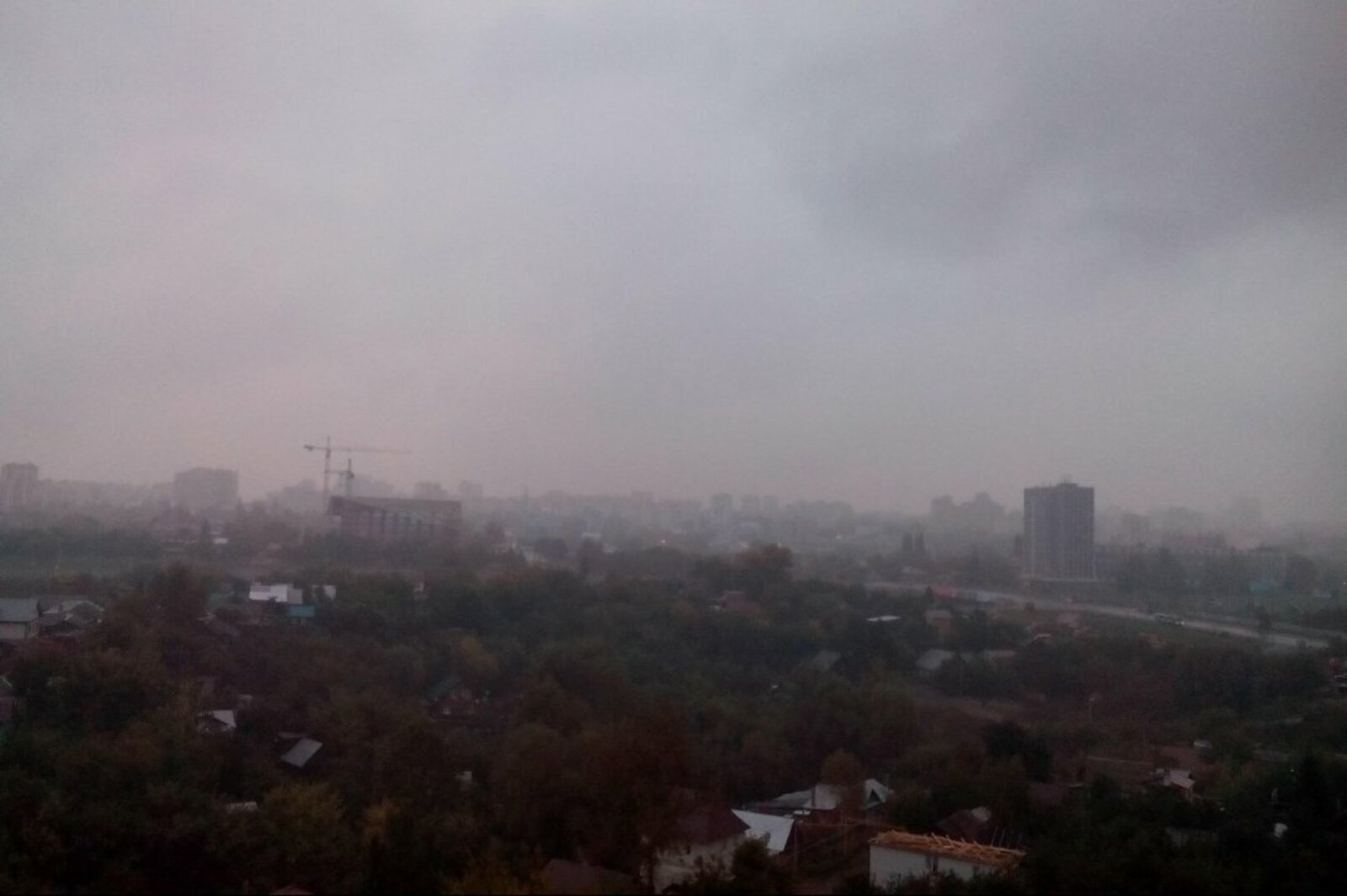 автор