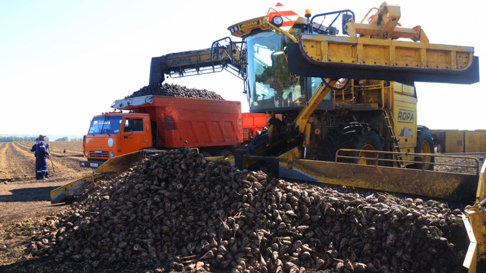 Минсельхоз РБ