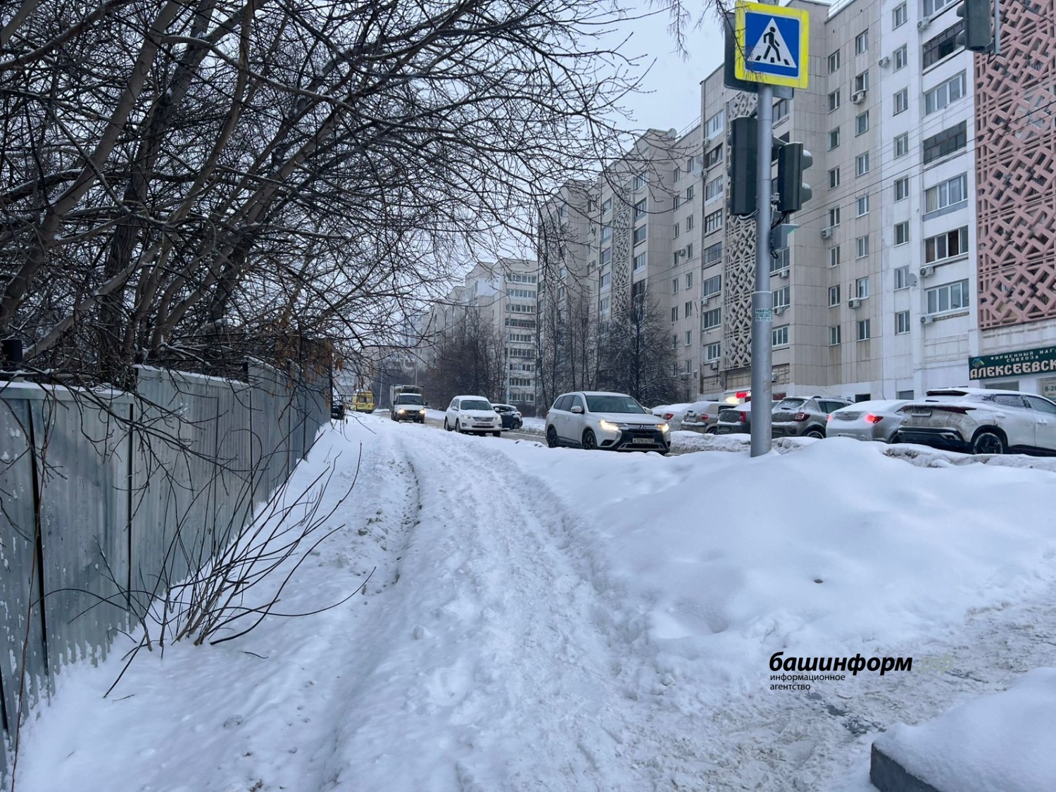 Ксения Калинина