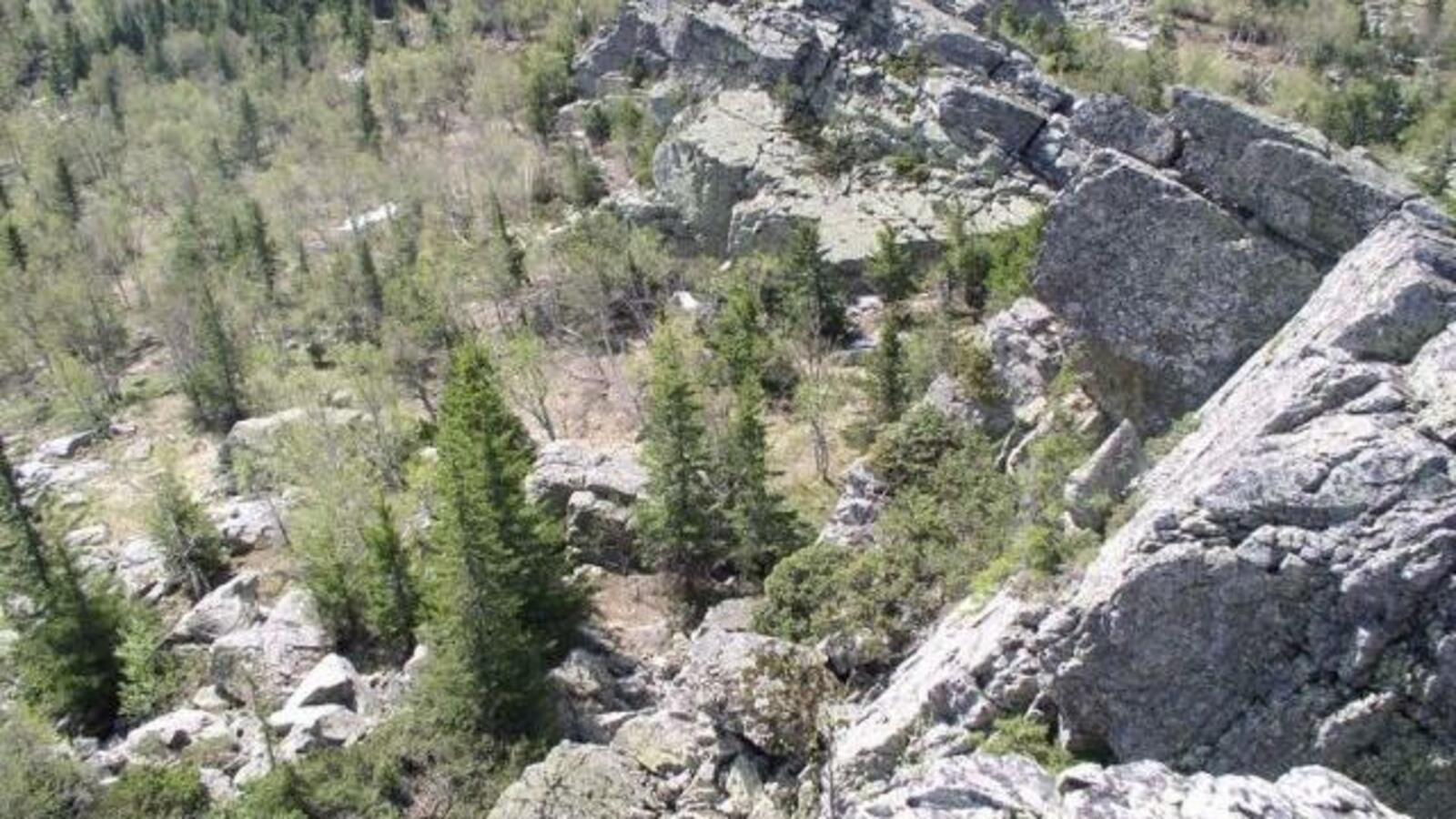 официальный сайт Южно-Уральского заповедника