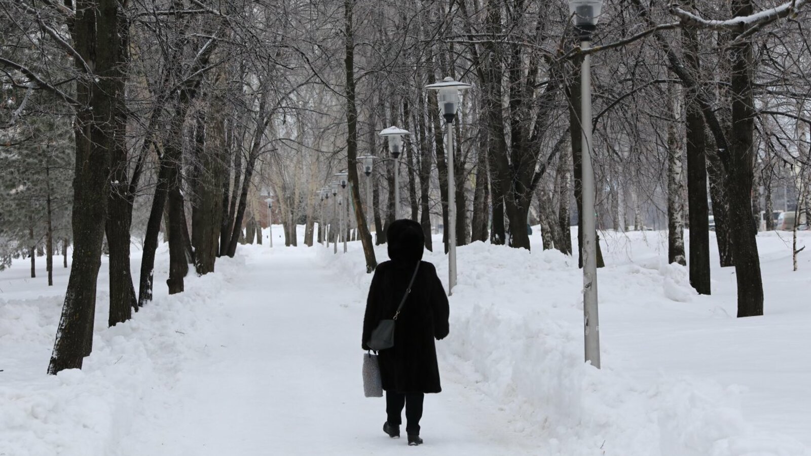 Валерий Шахов