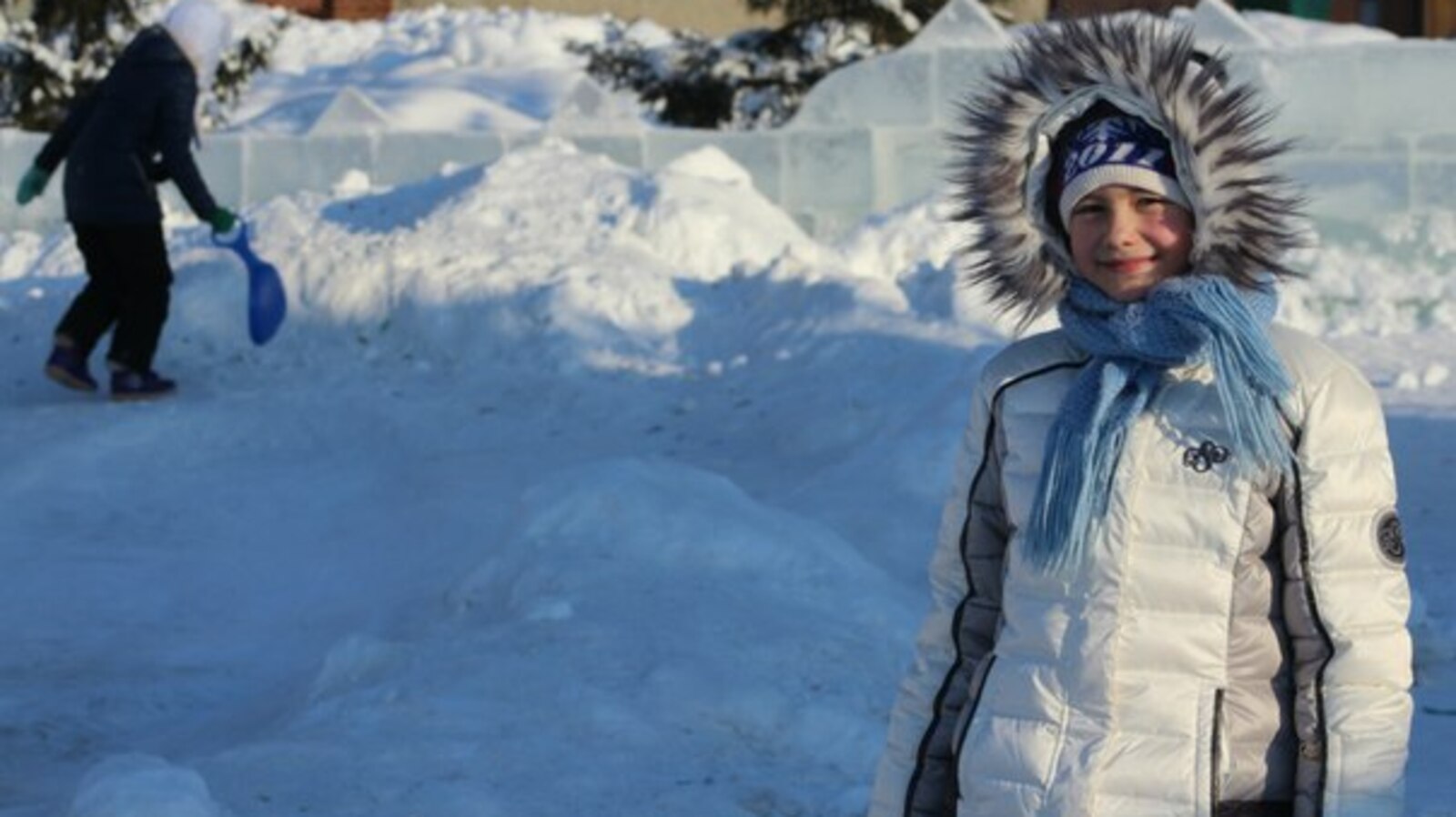 Владимир Миров