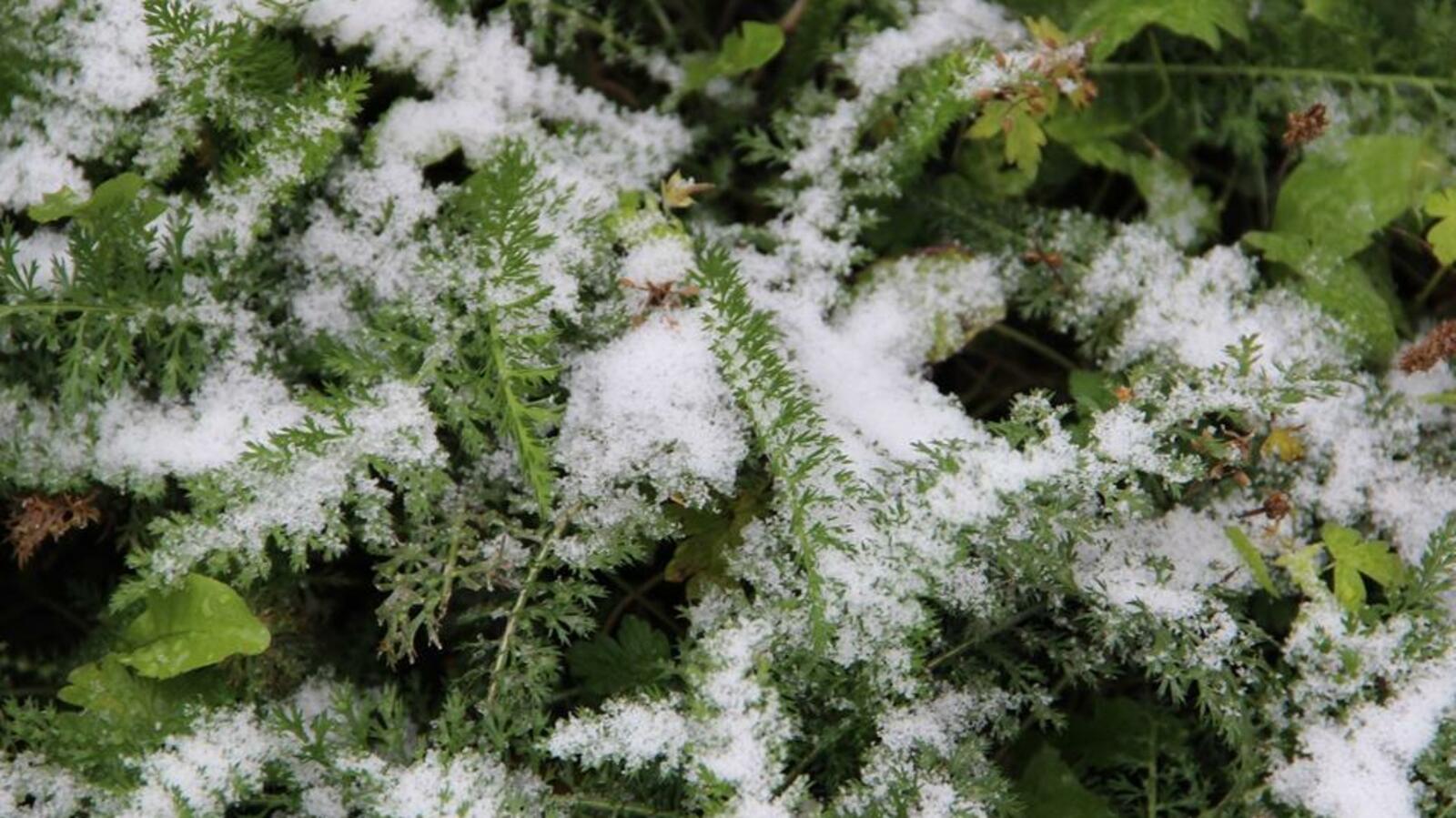 ИА «Башинформ»