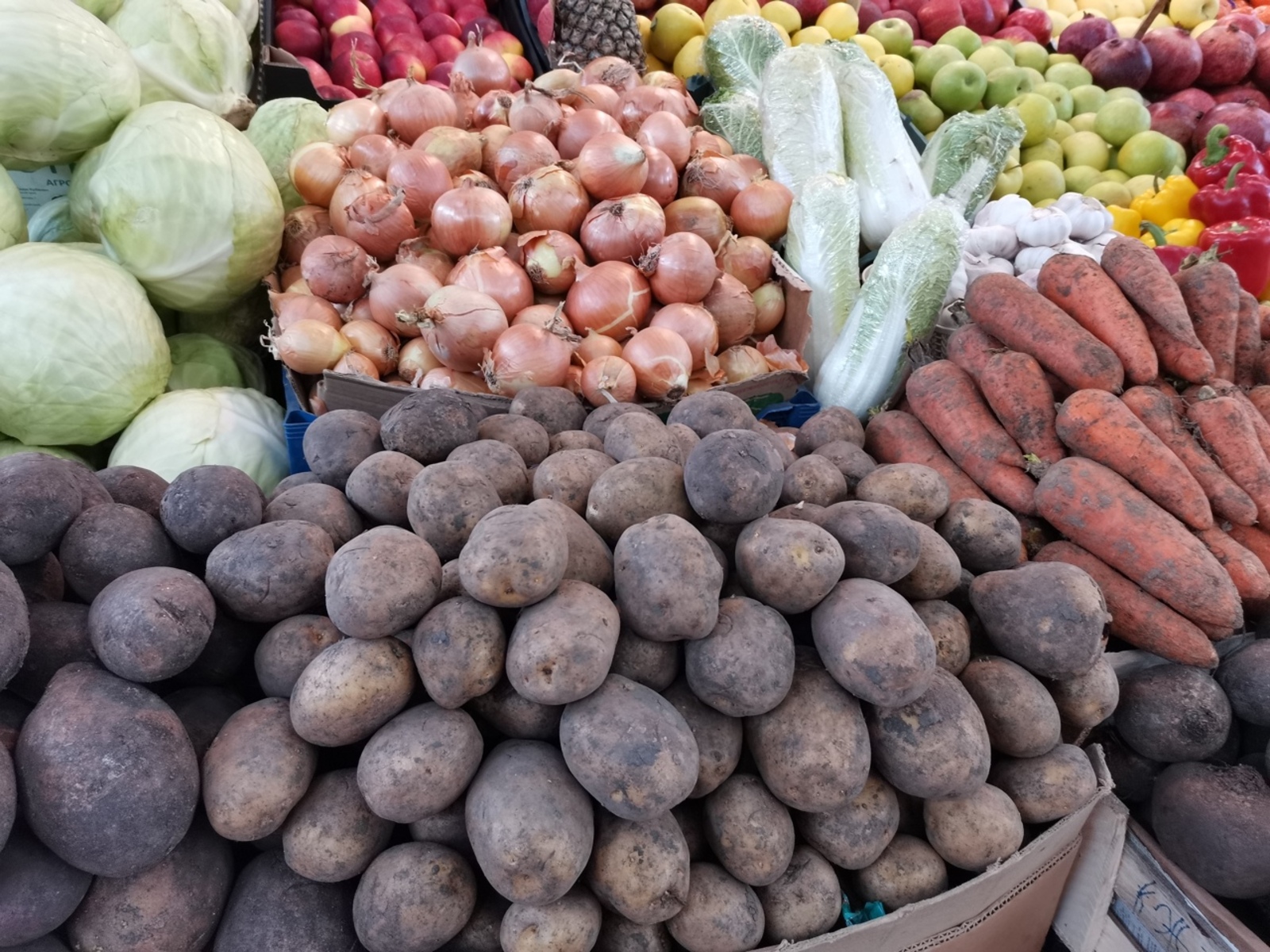 Правительство расширит меры поддержки производителей картофеля и других овощей