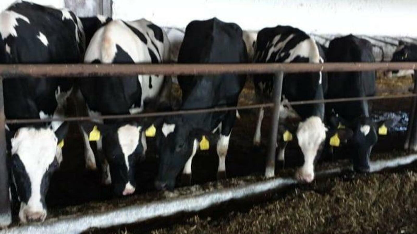 Минсельхоз РБ