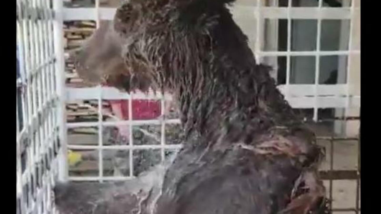 стоп-кадр видео