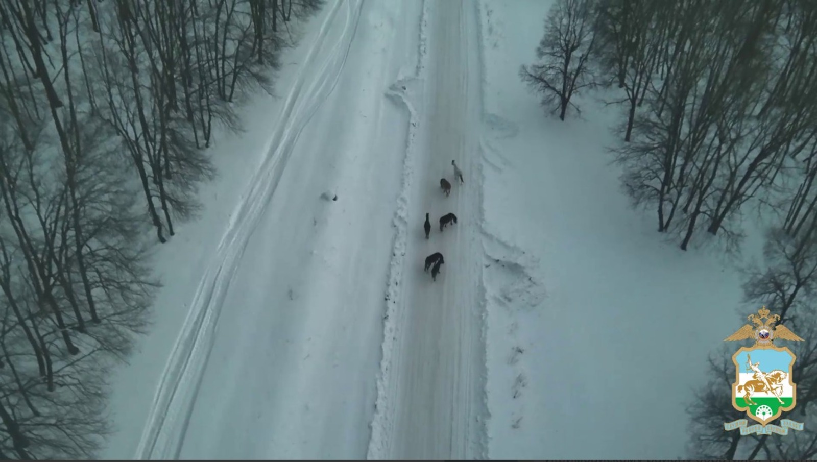 пресс-служба   МВД по РБ