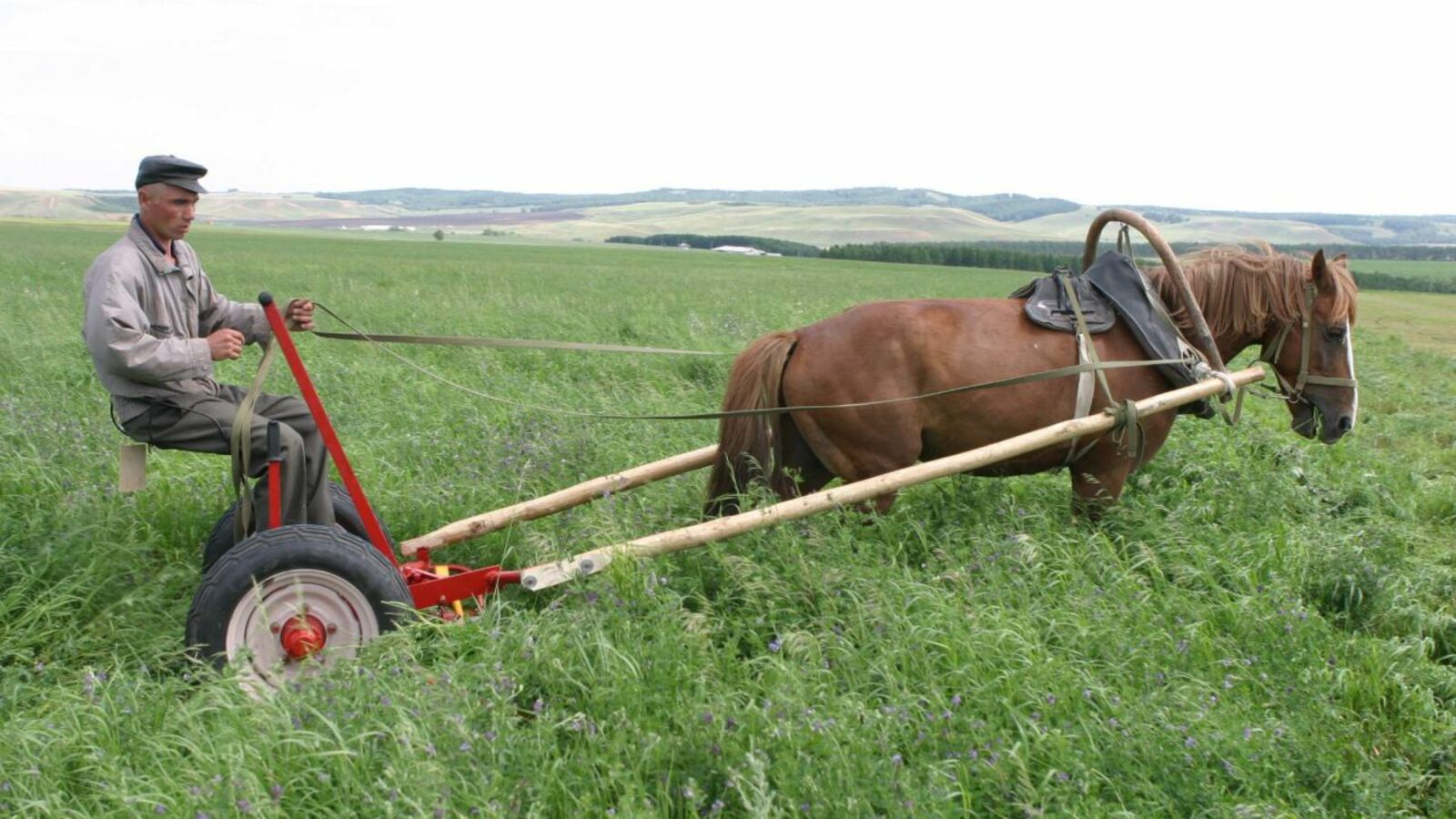 Олег Яровиков