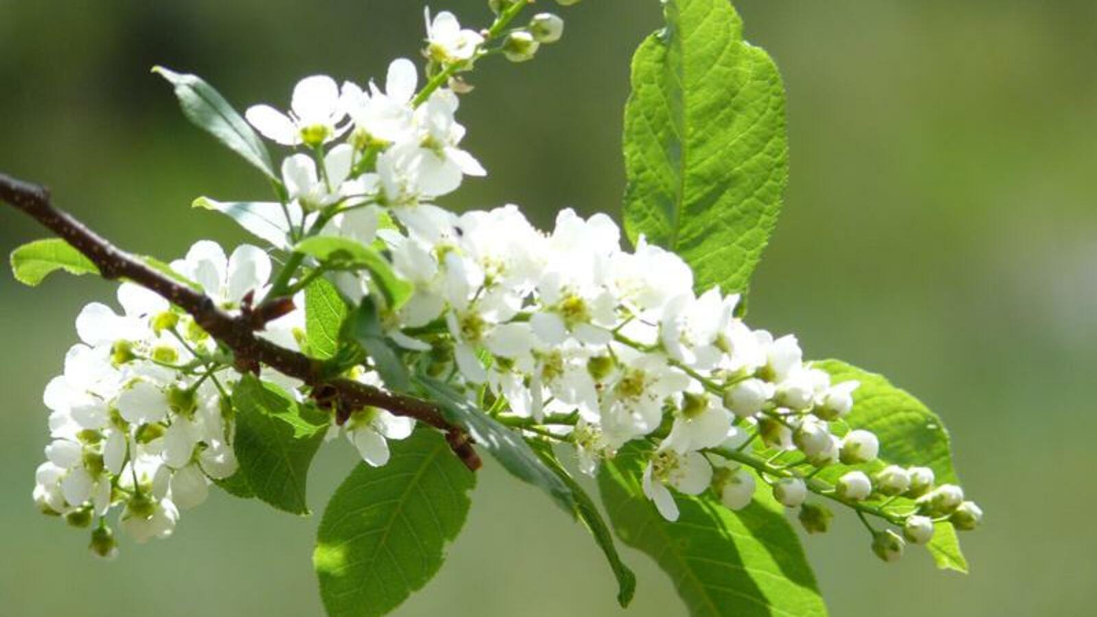 из открытых источников