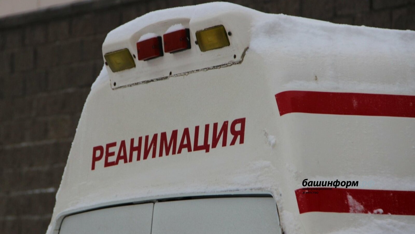 Ксения Калинина