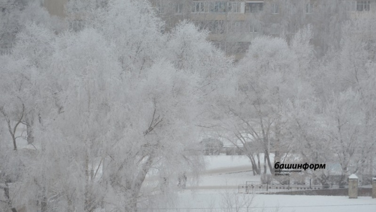 Ксения Калинина