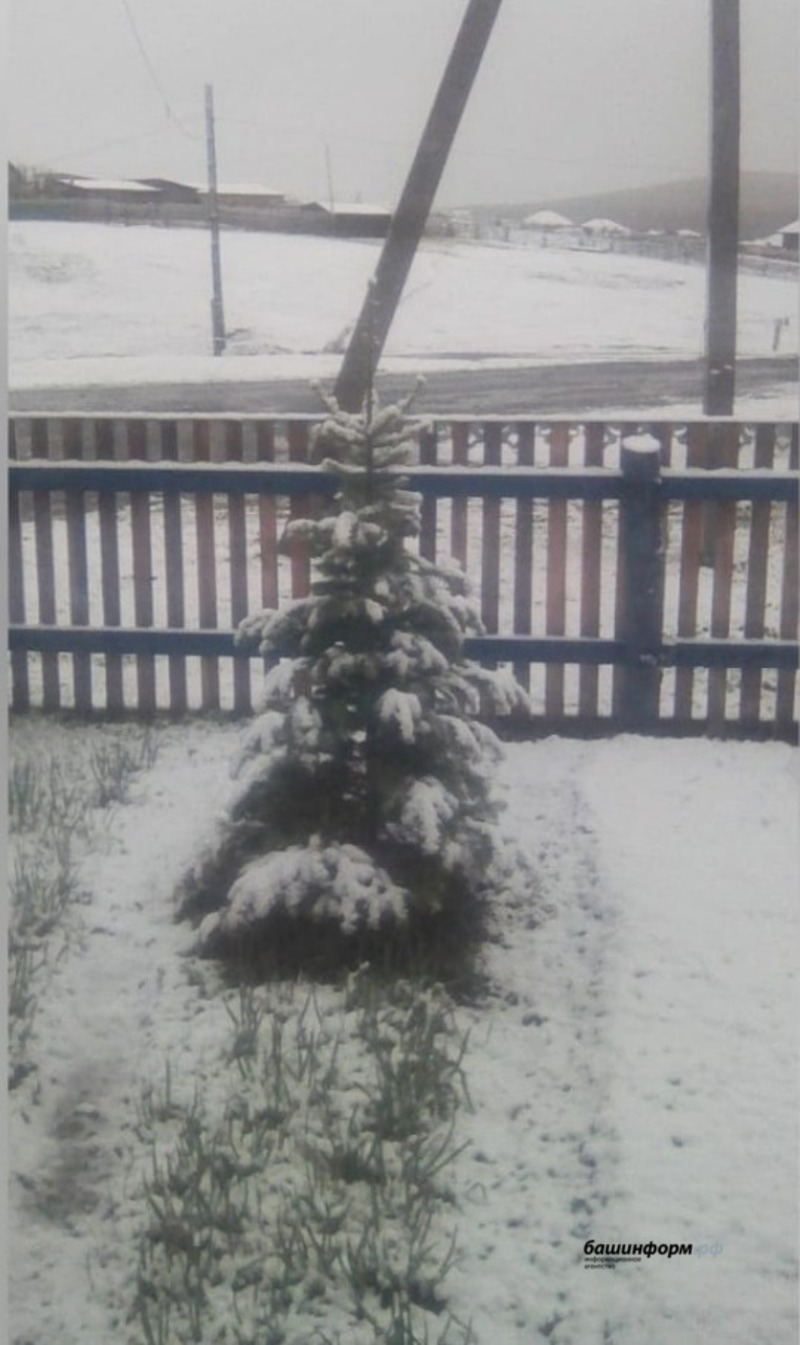 На один из районов Башкирии обрушился мощный снегопад