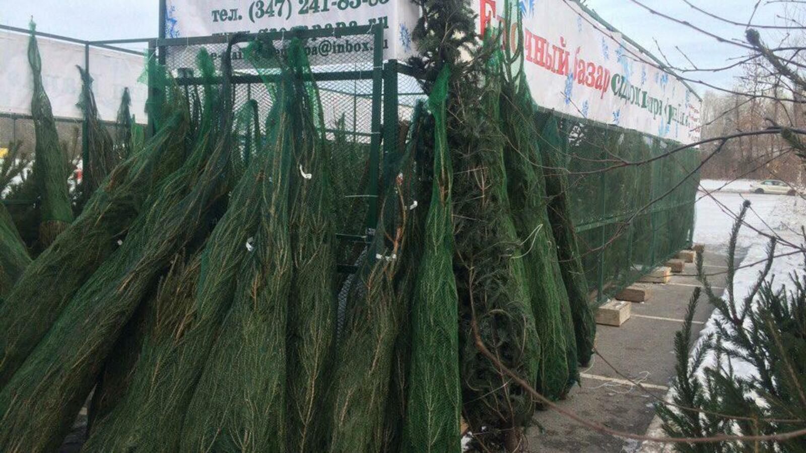 ИА «Башинформ»